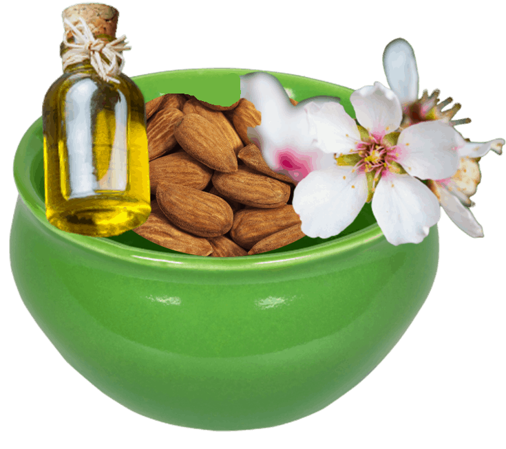 08 Organic Prunus Amygdalus Dulcis Sweet Almond Oil 450x400 1
